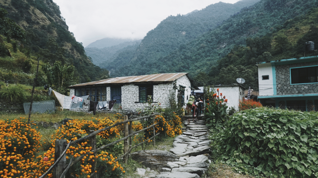 Nepal (6)